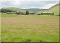 Fields near Cynfal Farm