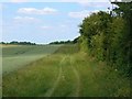 Footpath from Stapeley Farm