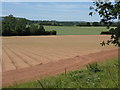 Fieldscape near Lineholt Common