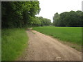 Bridleway to Bavinge Wood, Track to Bavinge Farm