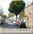 Inglefield Avenue, Cardiff