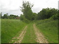 Bridleway to Eastleigh Court and Lower Courthope Farm