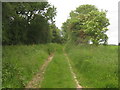 Bridleway to Stone Street