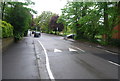 Traffic calming, Harold Rd