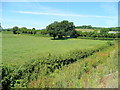 South Monmouthshire farmland