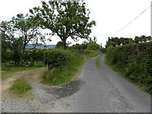 C1837 : Road near Doocarrick by Kenneth  Allen