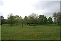 Trees, Upper Norwood Recreation Ground