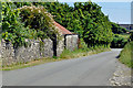 Rustic road and rusty roof - Wick