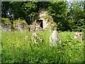 W9572 : Ballyoughtera Church and graveyard, Castlemartyr Demesne, Cork by Mac McCarron
