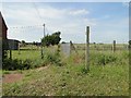 Footpath beside houses