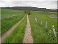 Track near Dufftown