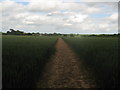 Footpath towards Church Lane