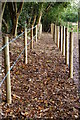 Footpath Near Lingfield, Surrey