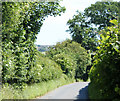 2010 : Marsh Lane between Hallatrow and Clutton