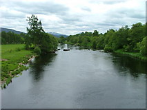 NH9419 : The River Spey by Dave Fergusson