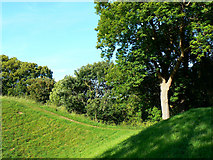 SP0201 : Trees and bushes at the Roman Amphitheatre, Cirencester by Brian Robert Marshall