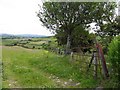 Grange Townland