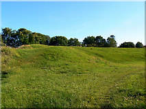 SP0201 : South across the Roman amphitheatre, Cirencester by Brian Robert Marshall
