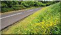 The Knockagh Road near Carrickfergus (2)