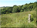 The Shotts, Haytor Vale