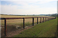 Paddock fencing near Moulton