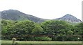 Woodland at the foot of the Eifl Hills