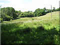 Wet meadow opposite Higher Lake Farm