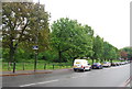 Trees on the edge of Tooting Bec Common