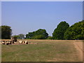 Campsite by the Chantries