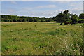 Looking towards Longford