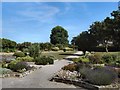 Garden in Princes Park