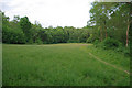 Edolphs Copse - open area