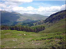 NY3013 : Approaching the Thirlmere forest by Karl and Ali