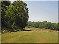 Wild Park near Lewes Road