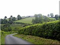 Country lane near Montgomery