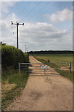 TL6767 : Farm road leading to Sounds Plantation by Bob Jones