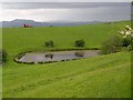 Pond near Pantglas