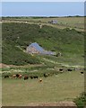 Barns near East Soar