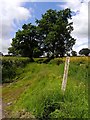 Footpath at Lower Lane