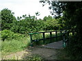 Purewell Meadows, footbridge