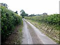 Border lane near Rhiston