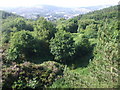 Disused quarry, Caerphilly Common