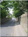 SE1334 : Crow Tree Lane - Allerton Road by Betty Longbottom