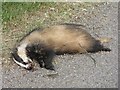 Road casualty near Poldean