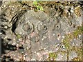 Cup-and-ring marks on rock outcrop