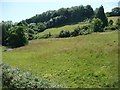 Fields alongside the railway line