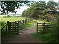 Footpath leaving Chacefield Wood