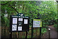 Information at the entrance to Sydenham Hill Wood