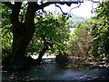 Pond near Bepton church