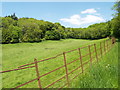 Footpath near Crincombe Bottom